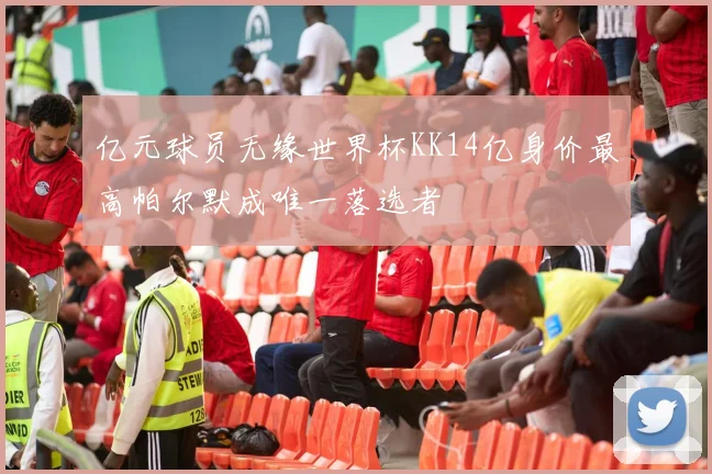 亿元球员无缘世界杯KK14亿身价最高帕尔默成唯一落选者