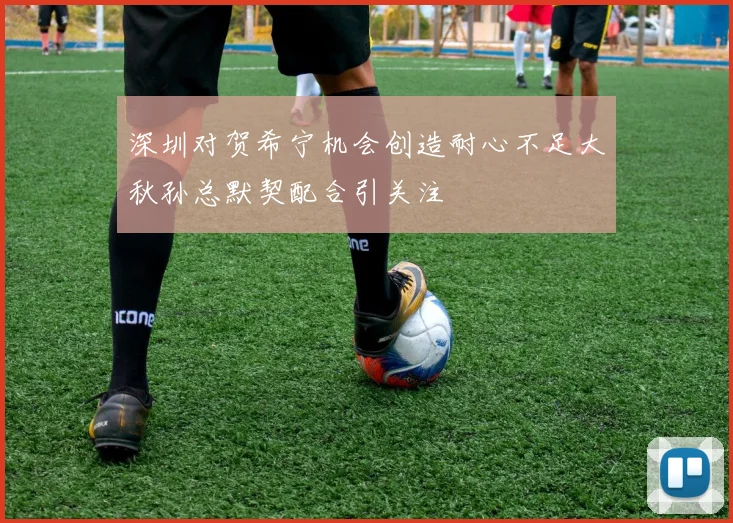 深圳对贺希宁机会创造耐心不足大秋孙总默契配合引关注