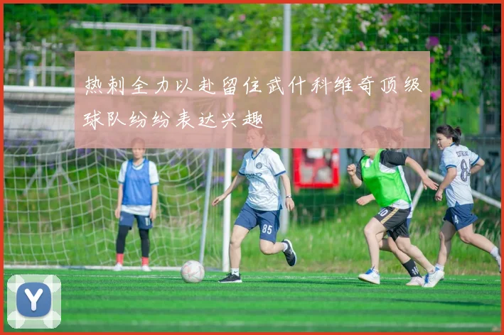 热刺全力以赴留住武什科维奇顶级球队纷纷表达兴趣
