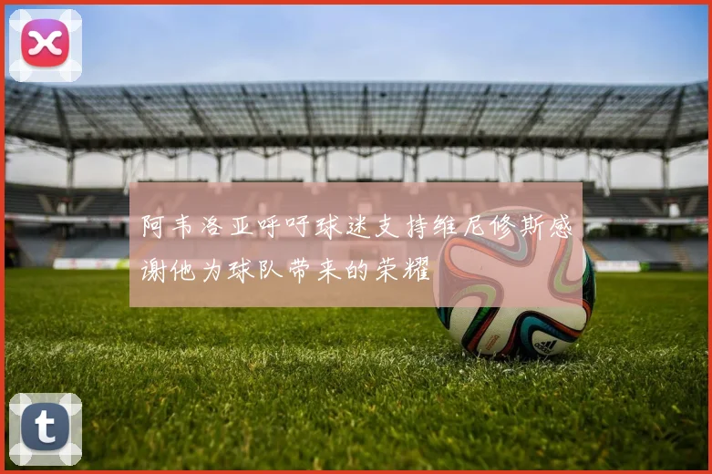 阿韦洛亚呼吁球迷支持维尼修斯感谢他为球队带来的荣耀